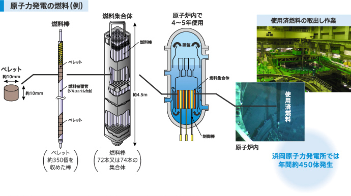 原子力発電の燃料（例）の図