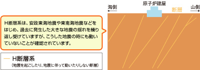 浜岡原子力発電所の敷地の下の断層について