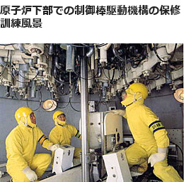 原子炉下部での制御棒駆動機構の保修訓練風景