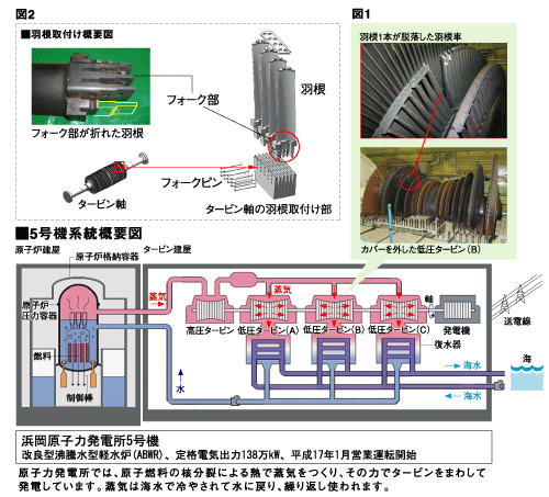 図1、羽根1本が脱落した羽根車とカバーを外した低圧タービン（B）の写真。図2、羽根取り付け概要図。【図解】浜岡5号機系統概要図。改良型沸騰水型軽水炉（ABWR）、定格電気出力138万キロワット、2005年1月営業運転開始。原子力発電所では、原子燃料の核分裂による熱で蒸気をつくり、その力でタービンをまわして発電しています。蒸気は海水で冷やされて水に戻り、繰り返し使われます。