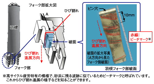 フォーク部拡大図。羽根フォーク部破面には、ビーチマーク（高サイクル疲労特有の模様で、砂浜に残る波跡に似ているためビーチマークと呼ばれています。これからひび割れ進展の様子などを知ることができます。）がありました。