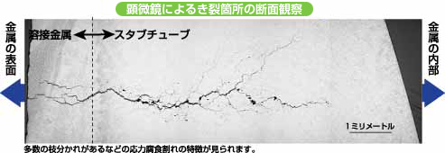 顕微鏡によるき裂箇所の断面観察画像。多数の枝分かれがあるなどの応力腐食割れの特徴が見られます。