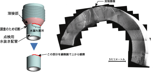 水漏れ箇所の観察状況