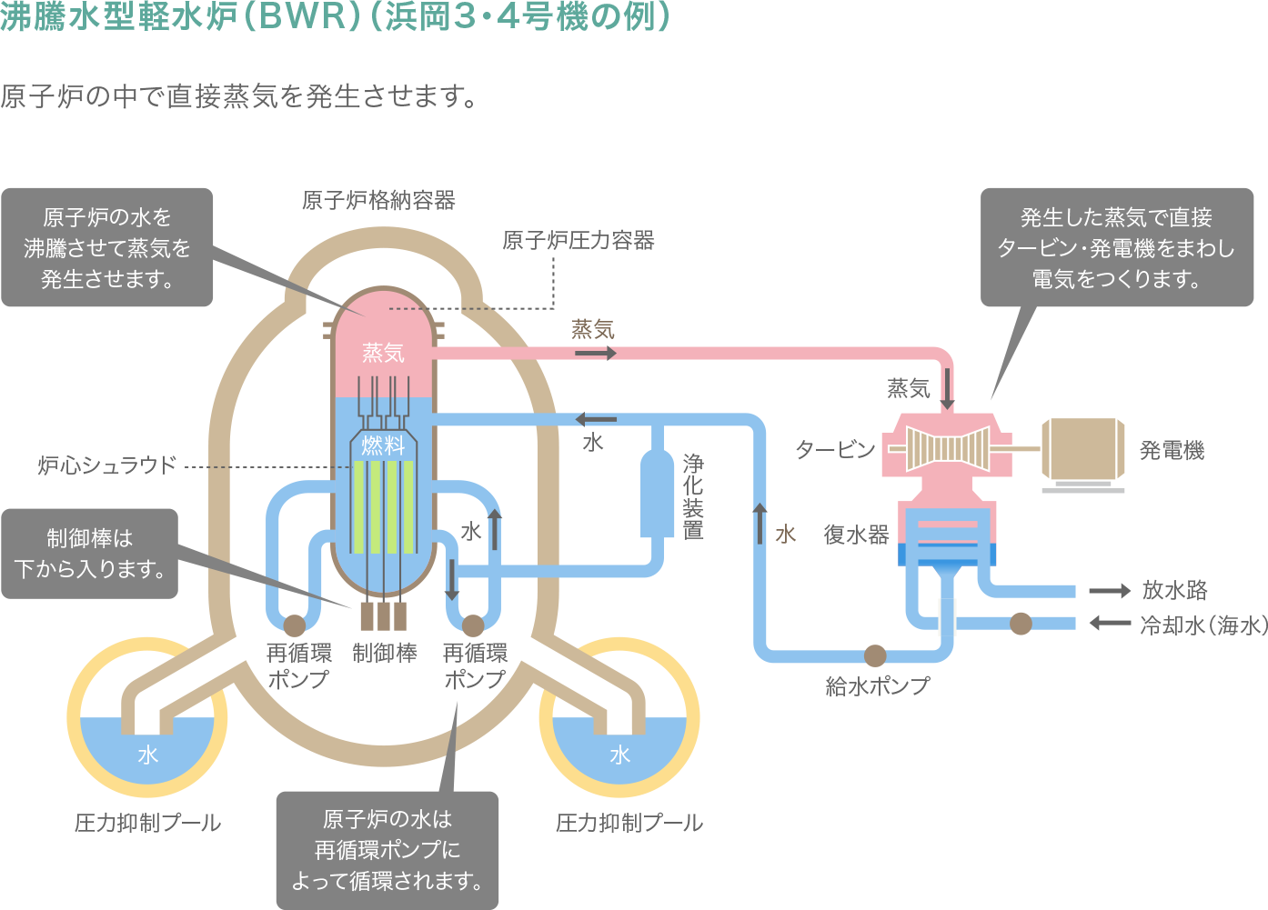 沸騰水型軽水炉（BWR）（浜岡3・4号機の例）の図