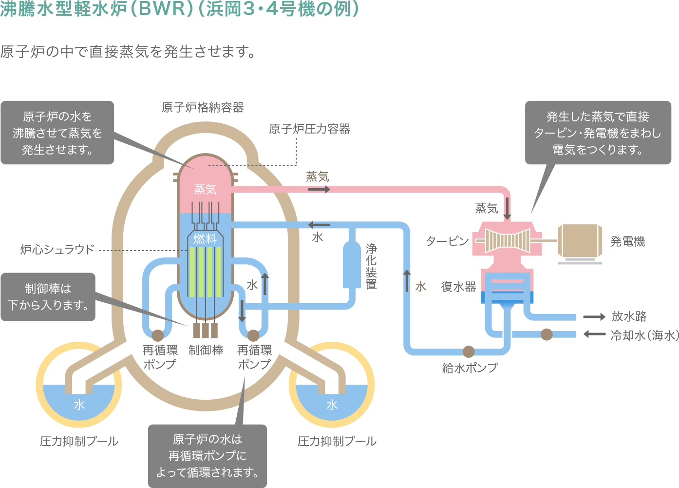 原子力発電のしくみ 原子力発電について 中部電力