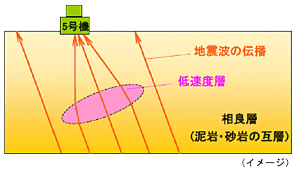 駿河湾の地震における5号機の揺れの増幅についてのイメージ