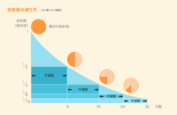 放射能の減り方の図