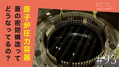 #93【浜岡原子力発電所の今／REAL!】原子炉圧力容器の蓋はどのように密閉しているのか？