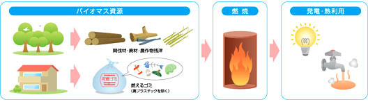 バイオマス発電の流れのイメージ画像