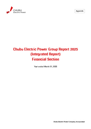 Appendix : Financial Section(Year ended March 31, 2025)
