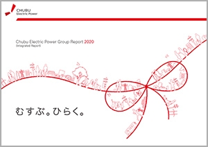 Chubu Electric Power Group Report 2020