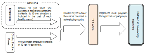 The diagram of Chubu Electric Power Program
