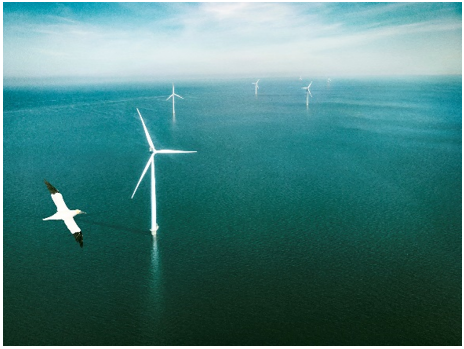 Image of the Offshore Wind Farm