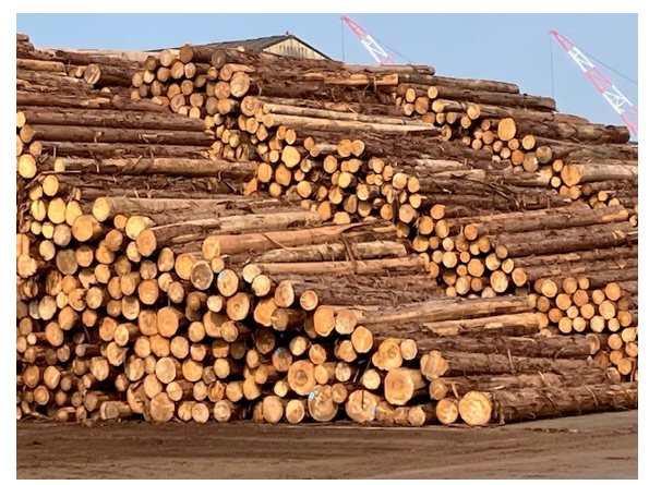 mage of log yard