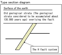 Type section diagram