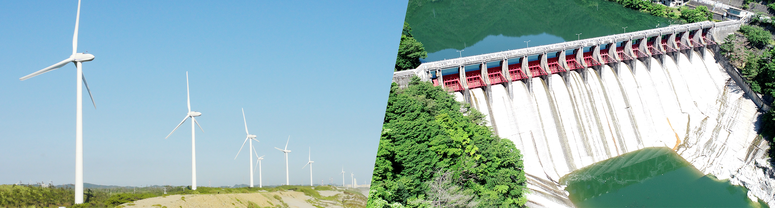 Chubu Electric Power Group Renewable Energy