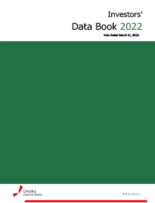 Investors' Data Book 2022
