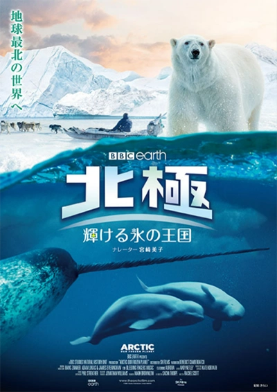 北極　輝ける氷の王国