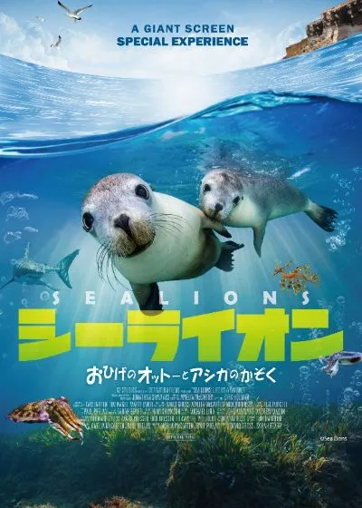 シーライオン おひげのオットーとアシカのかぞく