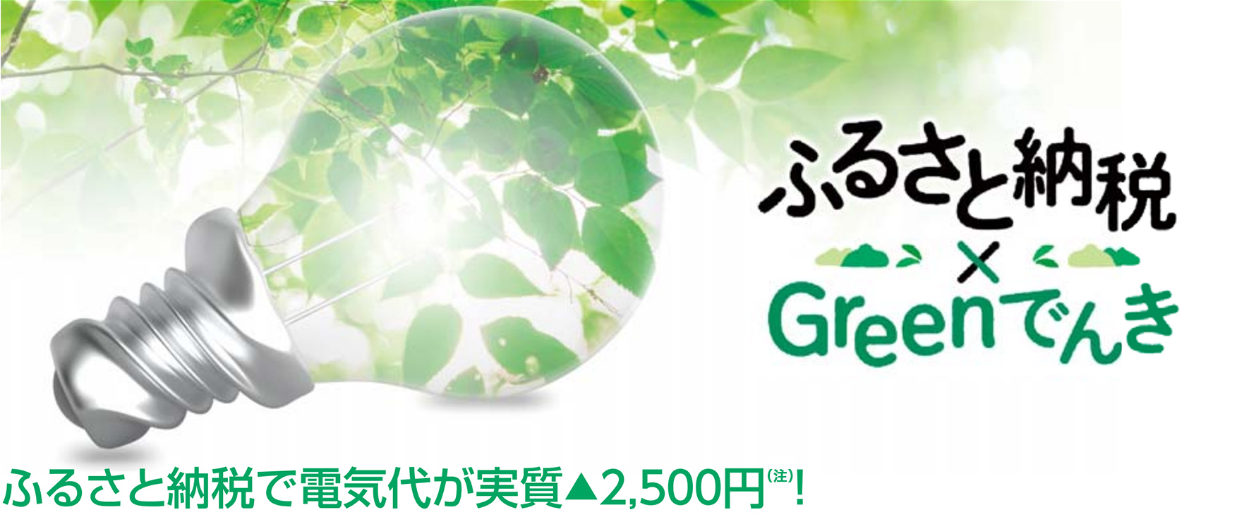 ふるさと納税×Greenでんき