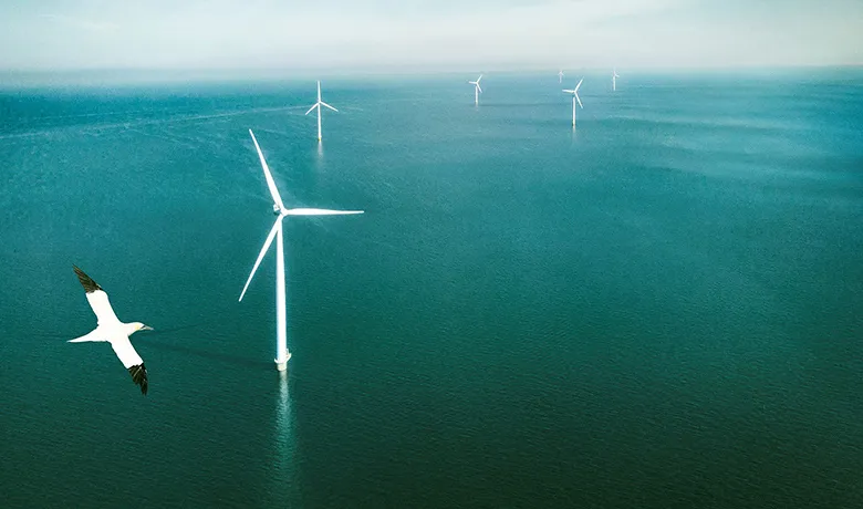 オランダ洋上風力発電プロジェクト