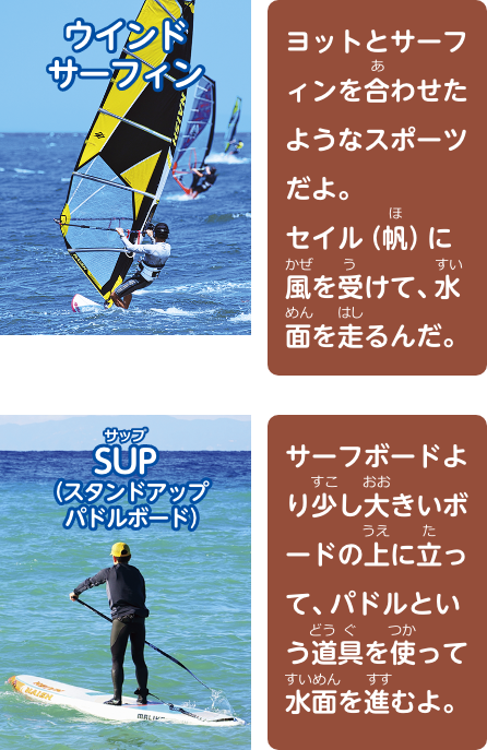 ウインドサーフィン、ヨットとサーフィンを合わせたようなスポーツだよ。セイル（帆）に風を受けて、水面を走るんだ。SUP（スタンドアップパドルボード）、サーフボードより少し大きいボードの上に立って、 パドルという道具を使って水面を進むよ。