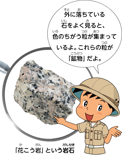 外に落ちている石をよく見ると、色のちがう粒が集まっているよ。これらの粒が「鉱物」だよ。
