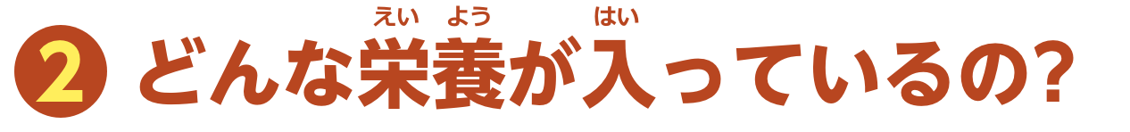 特集2　どんな栄養が入っているの？