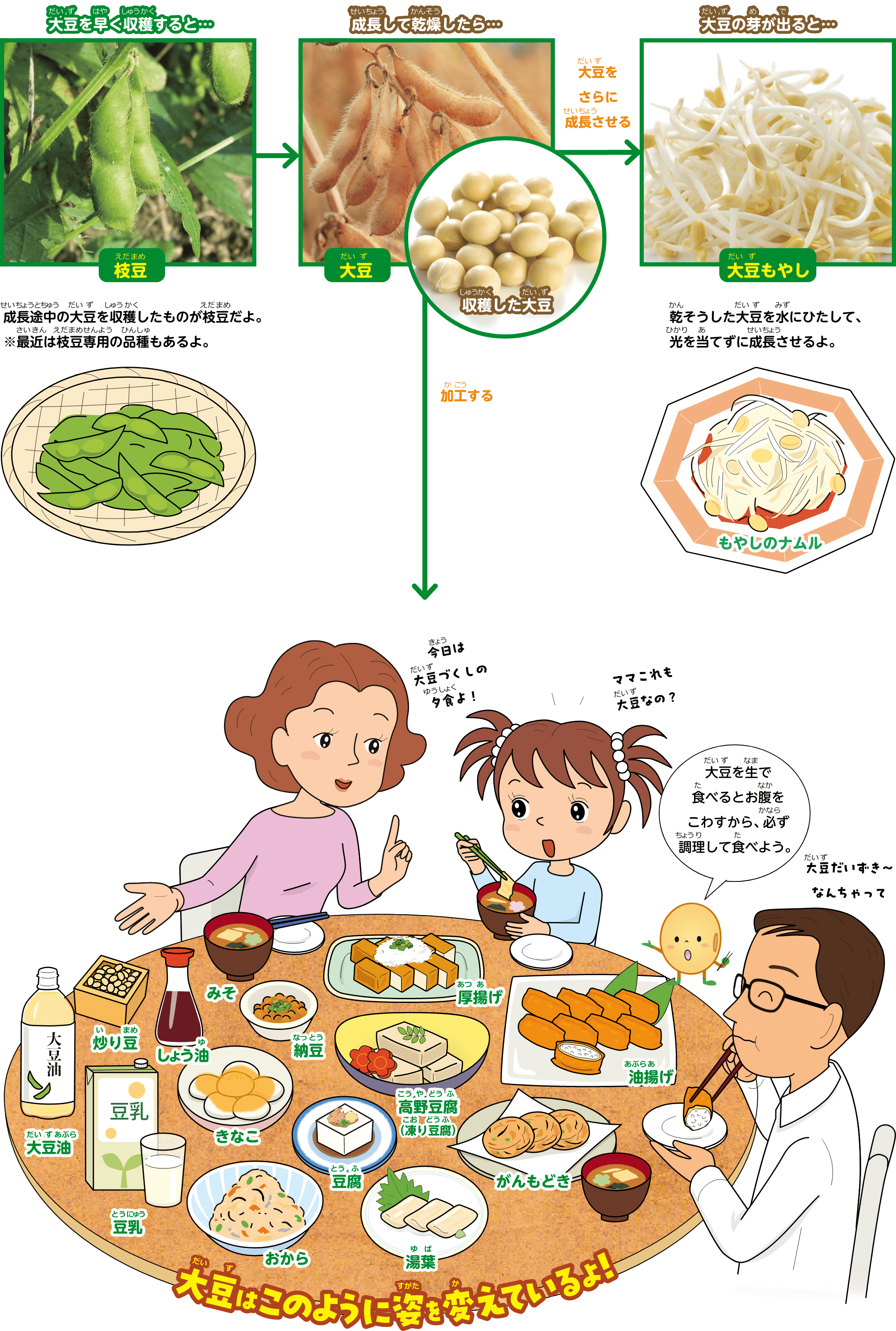 大豆からできている食べ物イラスト