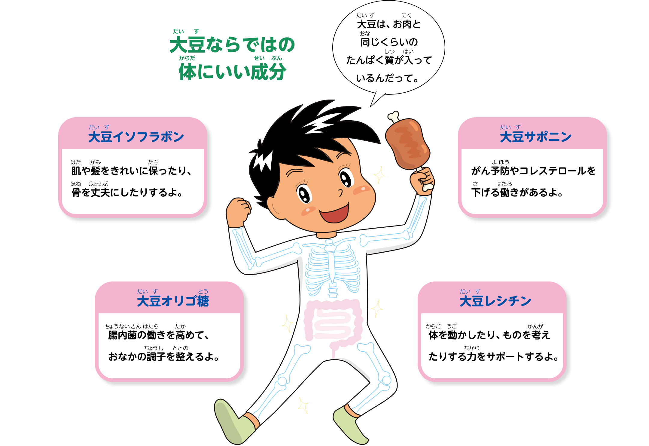 大豆ならではの体にいい成分、大豆イソフラボン：肌や髪をきれいに保ったり、骨を丈夫にしたりするよ。大豆オリゴ糖：腸内菌の働きを高めて、おなかの調子を整えるよ。大豆サポニン：がん予防やコレステロールを下げる働きがあるよ。大豆レシチン：体を動かしたり、ものを考えたりする力をサポートするよ。