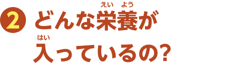 特集2　どんな栄養が入っているの？