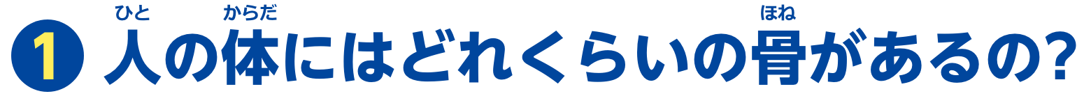 特集1　人の体にはどれくらいの骨があるの？