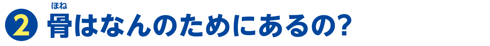 特集2　骨はなんのためにあるの？