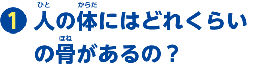 特集1　人の体にはどれくらいの骨があるの？