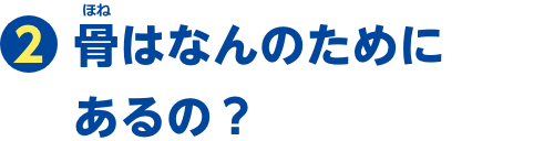 特集2　骨はなんのためにあるの？