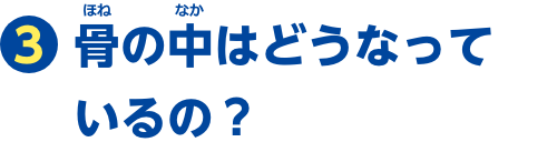 特集3　骨の中はどうなっているの？