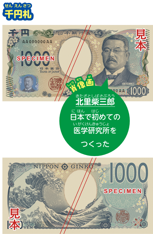 千円札。肖像画は北里柴三郎。日本で初めての医学研究所をつくった