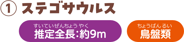 ステゴサウルス 推定全長：約9m 鳥盤類