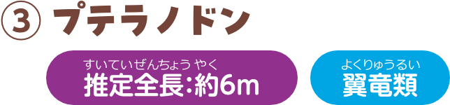 プテラノドン 推定全長：約6m 翼竜類