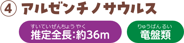 アルゼンチノサウルス 推定全長：約36m 竜盤類