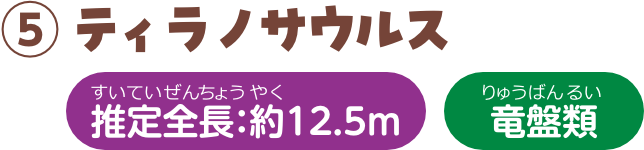 ティラノサウルス 推定全長：約12.5m 竜盤類