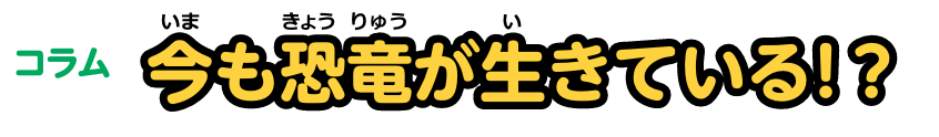 コラム 今も恐竜が生きている！？