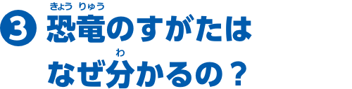 特集3　恐竜のすがたはなぜ分かるの？