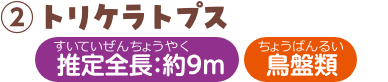 トリケラトプス 推定全長：約9m 鳥盤類