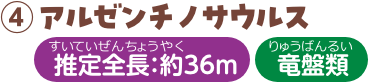 アルゼンチノサウルス 推定全長：約36m 竜盤類