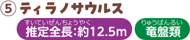 ティラノサウルス 推定全長：約12.5m 竜盤類