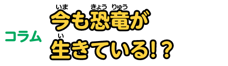 コラム 今も恐竜が生きている！？
