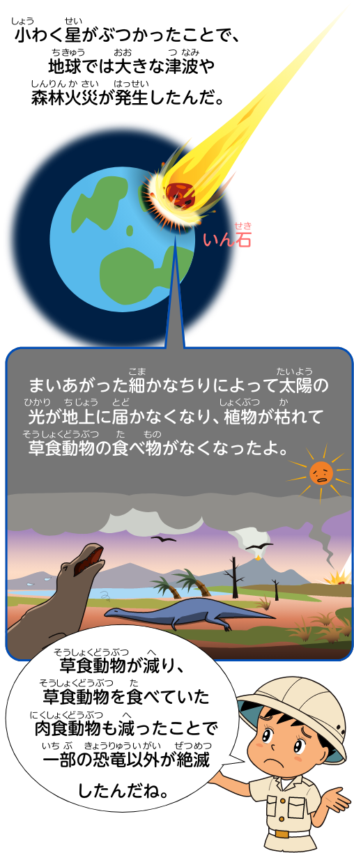 小わく星がぶつかったことで、地球では大きな津波や森林火災が発生したんだ。まいあがった細かなちりによって太陽の光が地上に届かなくなり、植物が枯れて草食動物の食べ物がなくなったよ。草食動物が減り、草食動物を食べていた肉食動物も減ったことで一部の恐竜以外が絶滅したんだね。