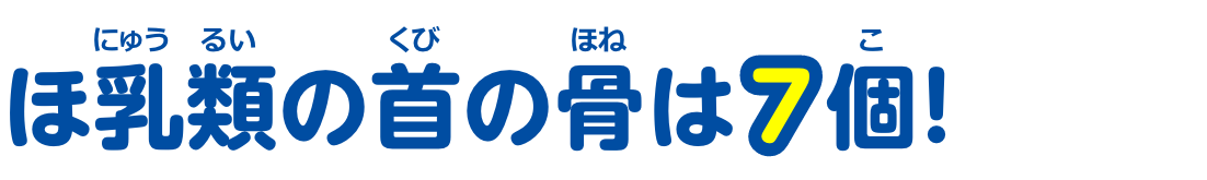 ほ乳類の首の骨は7個！