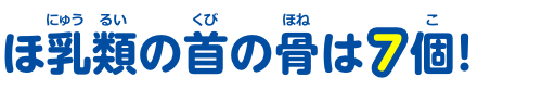 ほ乳類の首の骨は7個！